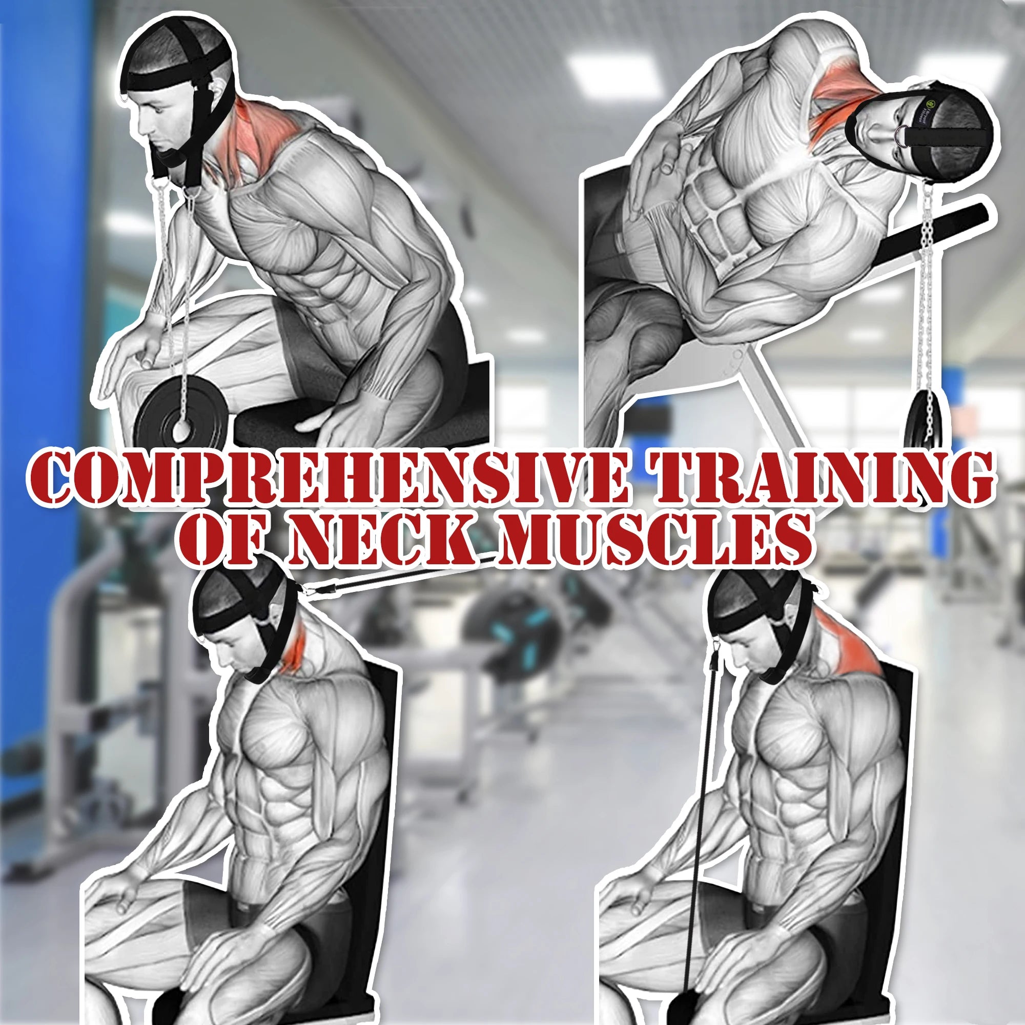 Adjustable Head & Neck Harness – Weight Lifting Strap for Neck Strength Training
