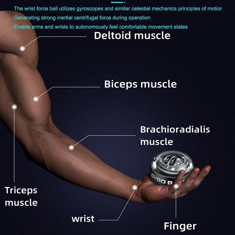 Gyroball Powerball – Wrist & Forearm Exerciser for Muscle Strength and Rehab